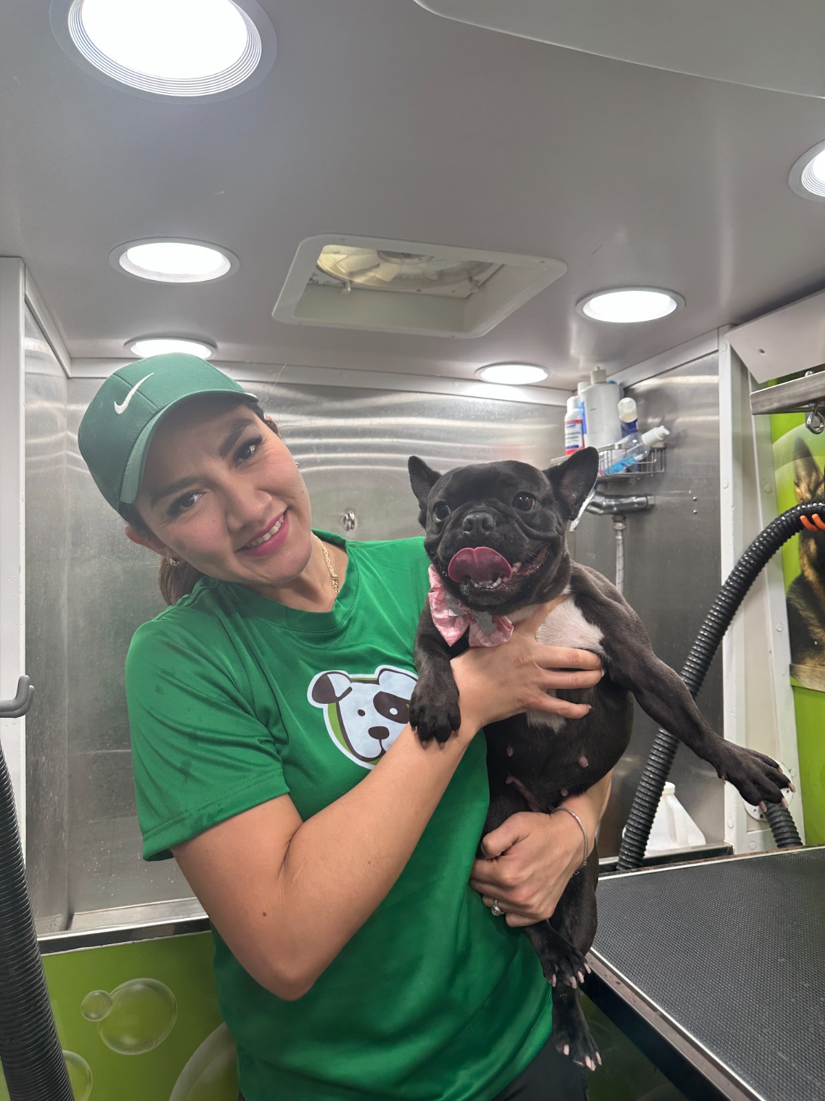 About Yofren Master Pet Grooming